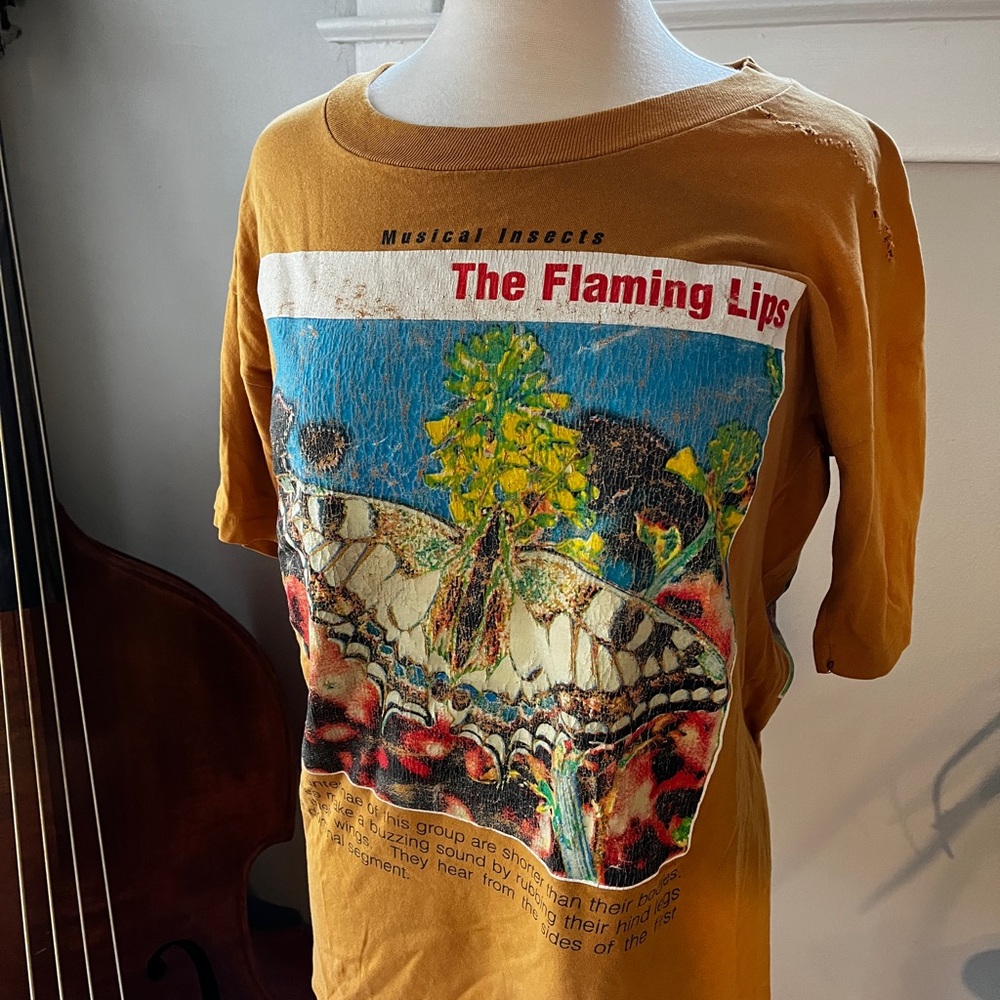 The Flaming Lips Graphic T-Shirt